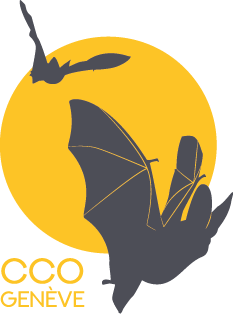 Logo CCO-Genève