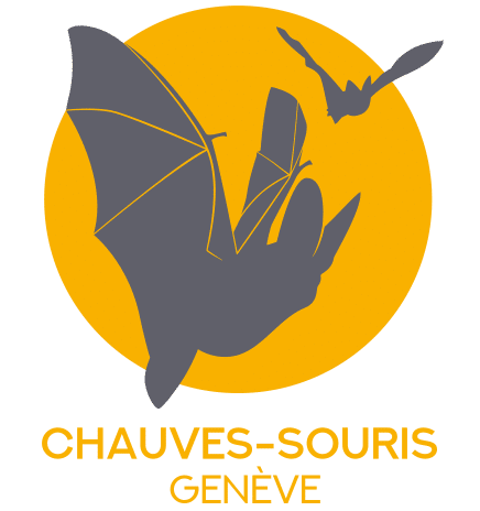 Chauves-souris Genève